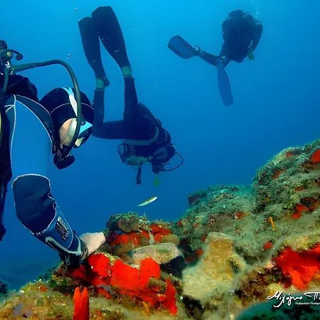 With Seaview Apartment