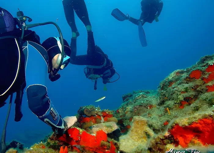 With Seaview Apartment